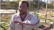 1701083669549.png