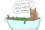 1779914683967.png 1779914683967.png