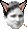 1620847146202.png