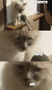 изображение_2021-12-02_233306.png