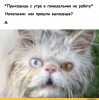 Bukvy-na-belom-fone-4112683-640x653.jpeg