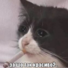 1640388919796.png