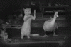 X0KQ.gif