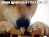 2022-09-19_10-14-29.png