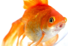1677060200732.png