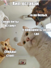 1679558384916.png
