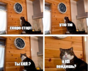 1679564648964.png