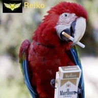 Рейко